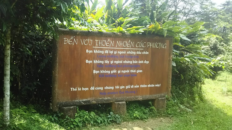 ベトナム　ニンビン紀行　クックフォン国立公園は蝶の楽園！